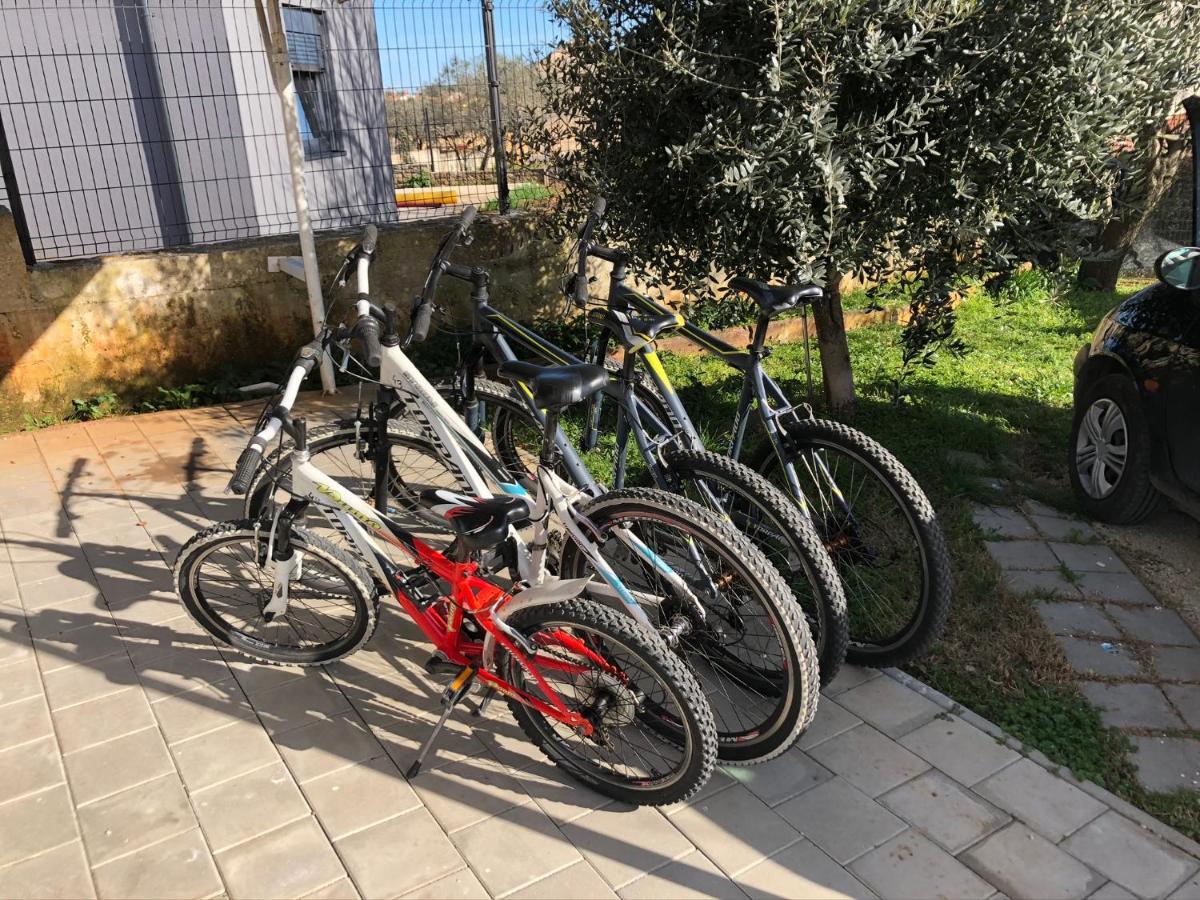 Apartment Madis & Free Bikes Pula Extérieur photo